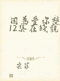 因为爱你双男主12集在线观看封面