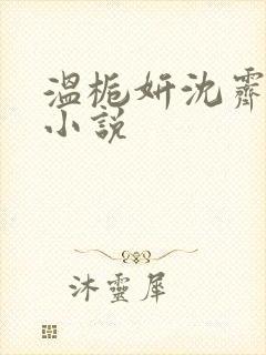 温栀妍沈霁寒的小说