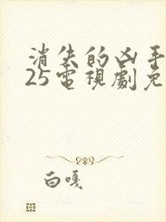 消失的凶手2025电视剧免费观看