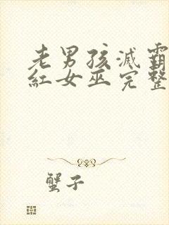 老男孩灭霸和绯红女巫完整版播放