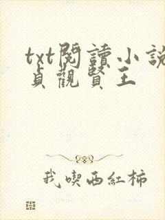 txt阅读小说贞观贤王