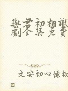 与君初相识电视剧全集免费观看