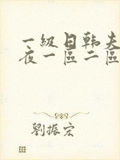 一级日韩夫妻午夜一区二区三区