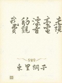 我的漂亮老婆免费观看电视剧封面