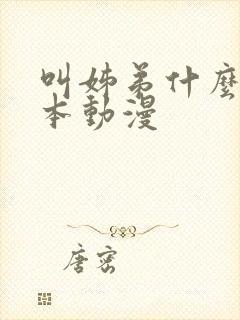 叫姊弟什么的日本动漫