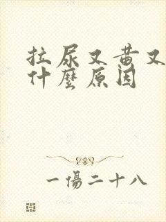 拉尿又黄又臭是什么原因