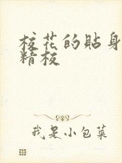 校花的贴身高手精校