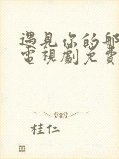 遇见你的那一天电视剧免费观看高清