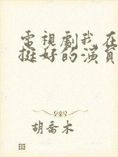 电视剧我在他乡挺好的演员表