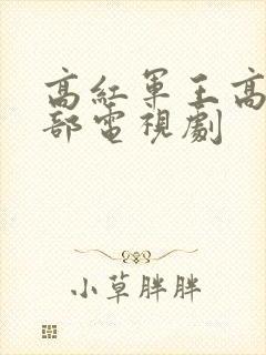 高红军王高是哪部电视剧封面