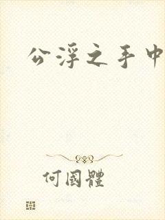 公浮之手中字5