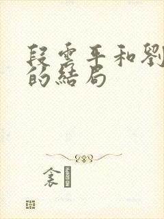 段云平和刘诗宁的结局封面