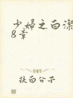 少妇之白洁第48章封面