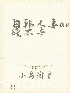 日韩人妻av在线不卡