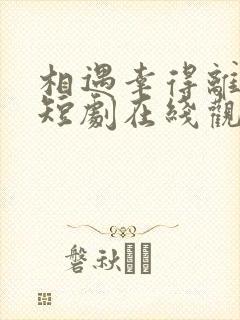 相遇幸得离婚时短剧在线观看