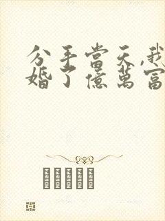 分手当天,我闪婚了亿万富豪小说txt下载封面