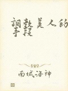 调教美人的百种手段封面