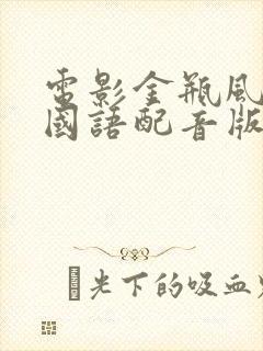 电影金瓶风月2国语配音版在线观看封面