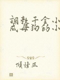 调教千金小姐变成母狗的小说