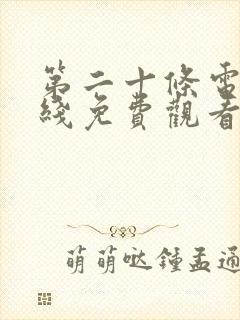 第二十条电影在线免费观看努努