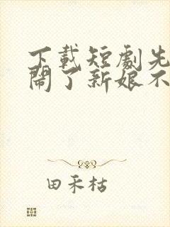 下载短剧先生别闹了新娘不是你的