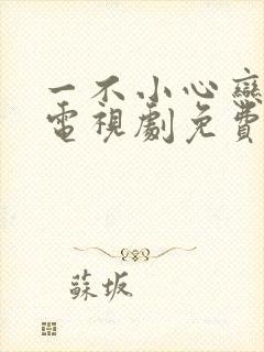 一不小心恋爱了电视剧免费观看完整版