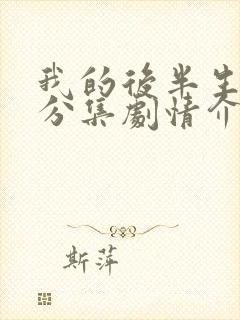 我的后半生剧情分集剧情介绍大结局免费观看