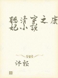 听清穿之康熙锦妃小说