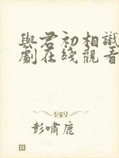 与君初相识电视剧在线观看完整版