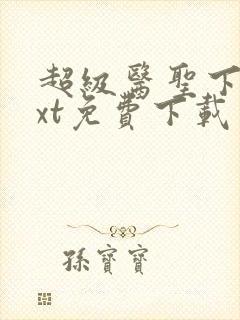 超级医圣下载txt免费下载封面