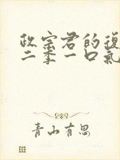 政宗君的复仇第二季一口气看完