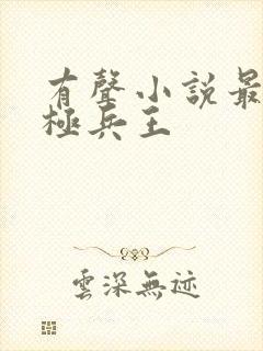 有声小说最强终极兵王