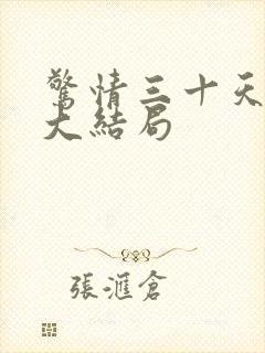 惊情三十天原著大结局封面