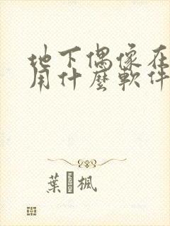 地下偶像在哪看用什么软件看