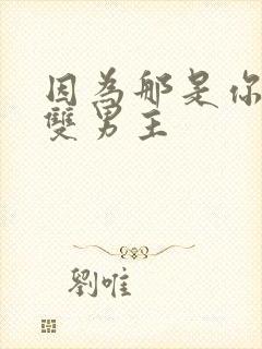 因为那是你韩剧双男主