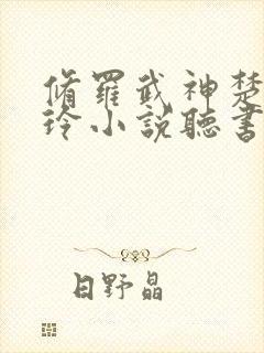 修罗武神楚枫紫玲小说听书免费全集封面