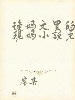 后妈文里的反派亲妈小说免费阅读