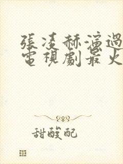 张凌赫演过什么电视剧最火