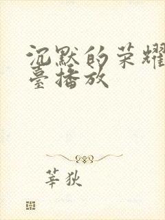 沉默的荣耀在哪台播放