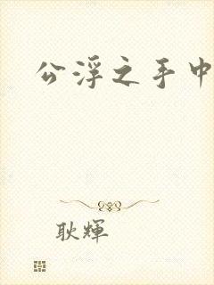 公浮之手中字5
