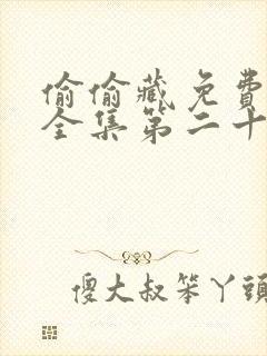 偷偷藏免费观看全集第二十条