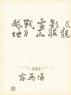 越战电影《天与地》正版观看