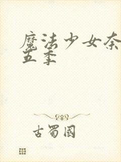 魔法少女奈叶第五季