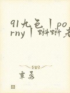 91九色丨porny丨蝌蚪老熟