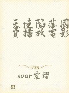 天使陷落国语免费播放电影频道在线