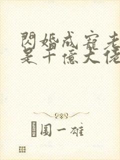 闪婚成宠老公竟是千亿大佬完整版