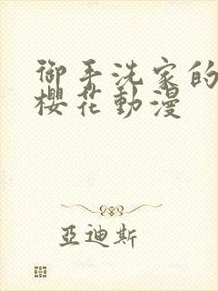 御手洗家的银事樱花动漫