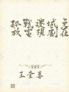 孤战迷城免费播放电视剧在线播放