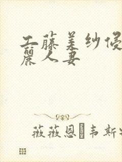 工藤美纱侵犯美丽人妻