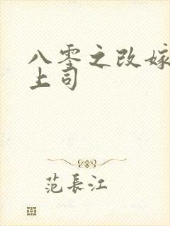 八零之改嫁前夫上司